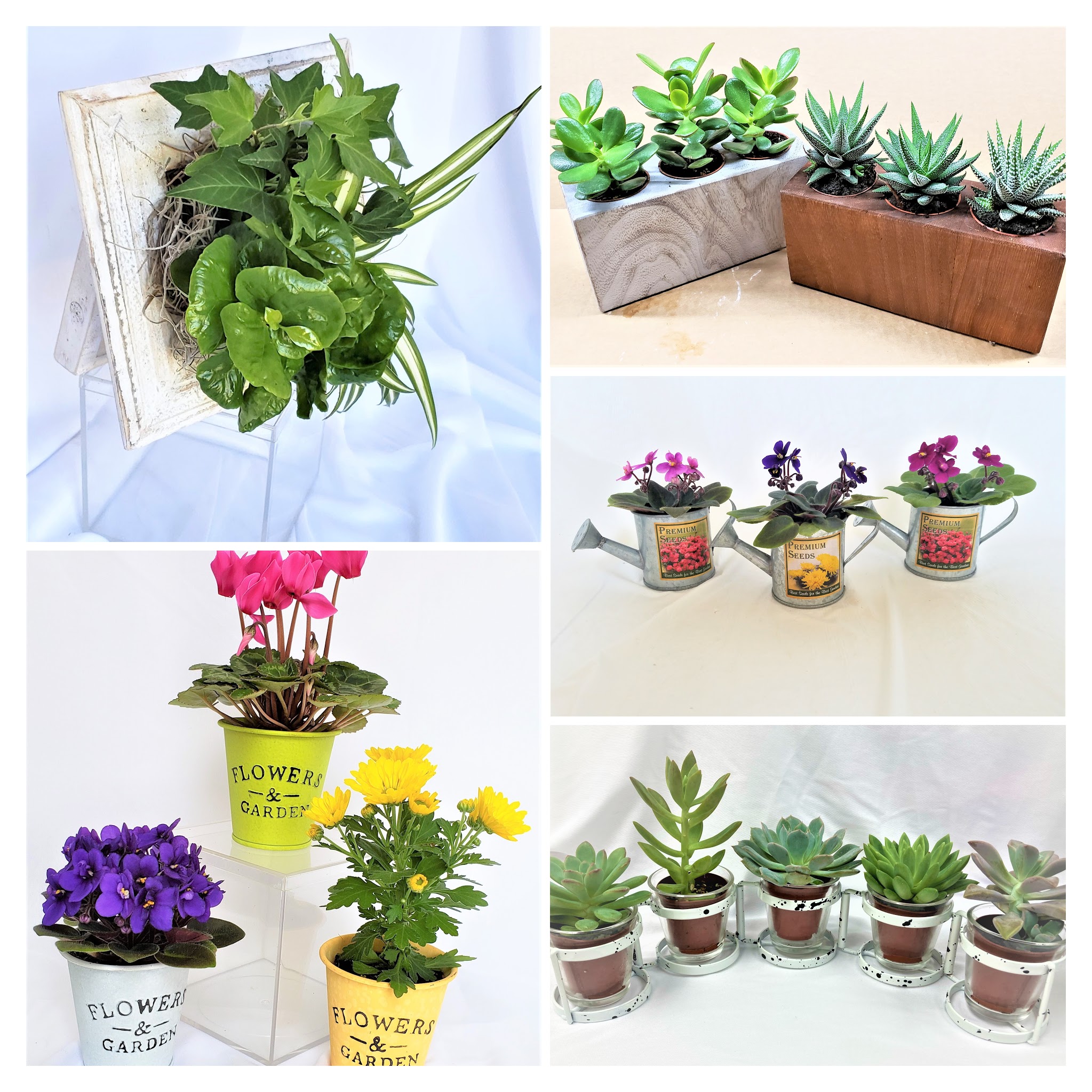 Metal, Wood, & Glass Pots