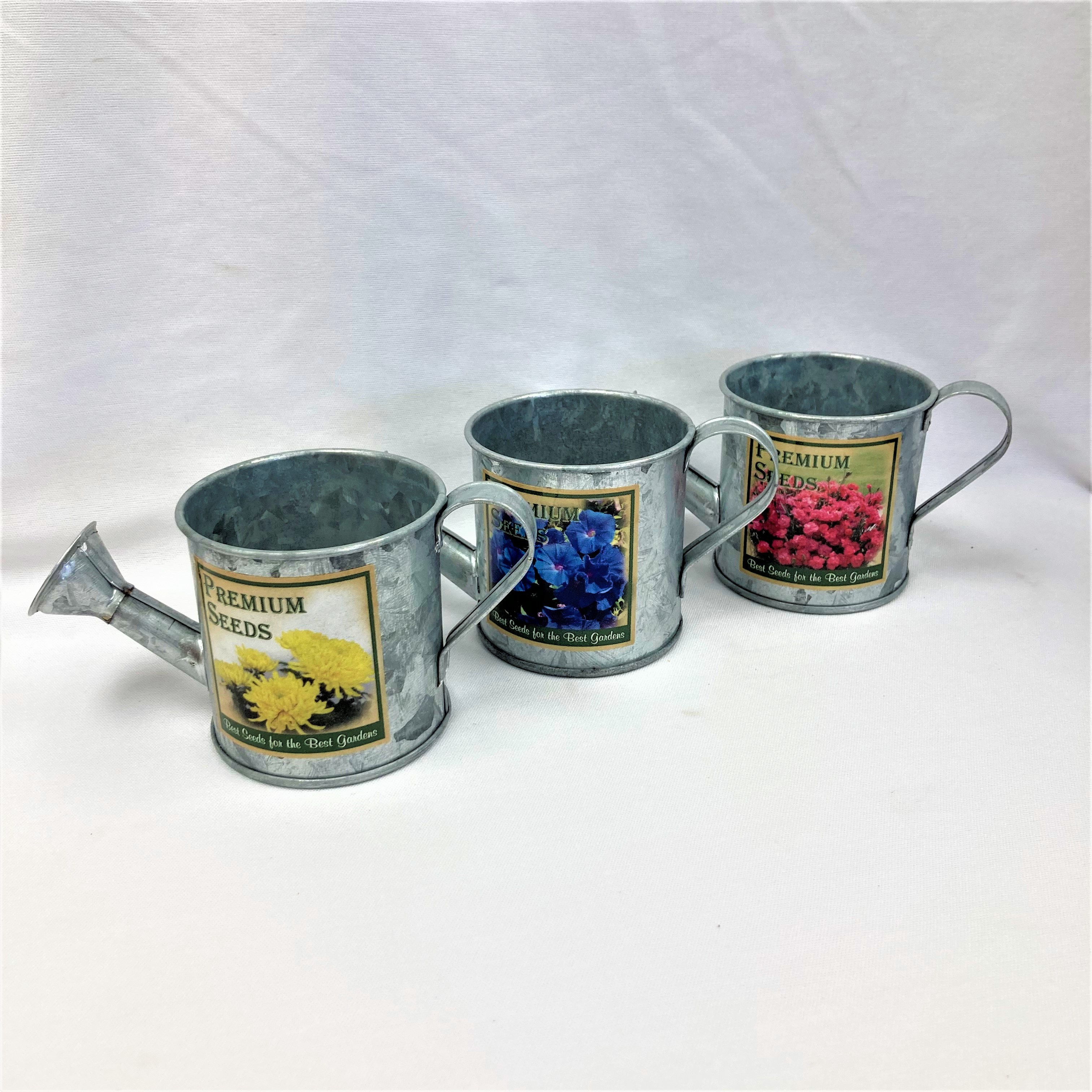 Metal Watering Cans