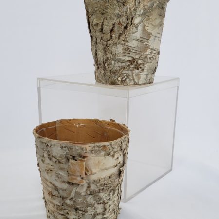 Birch Pots