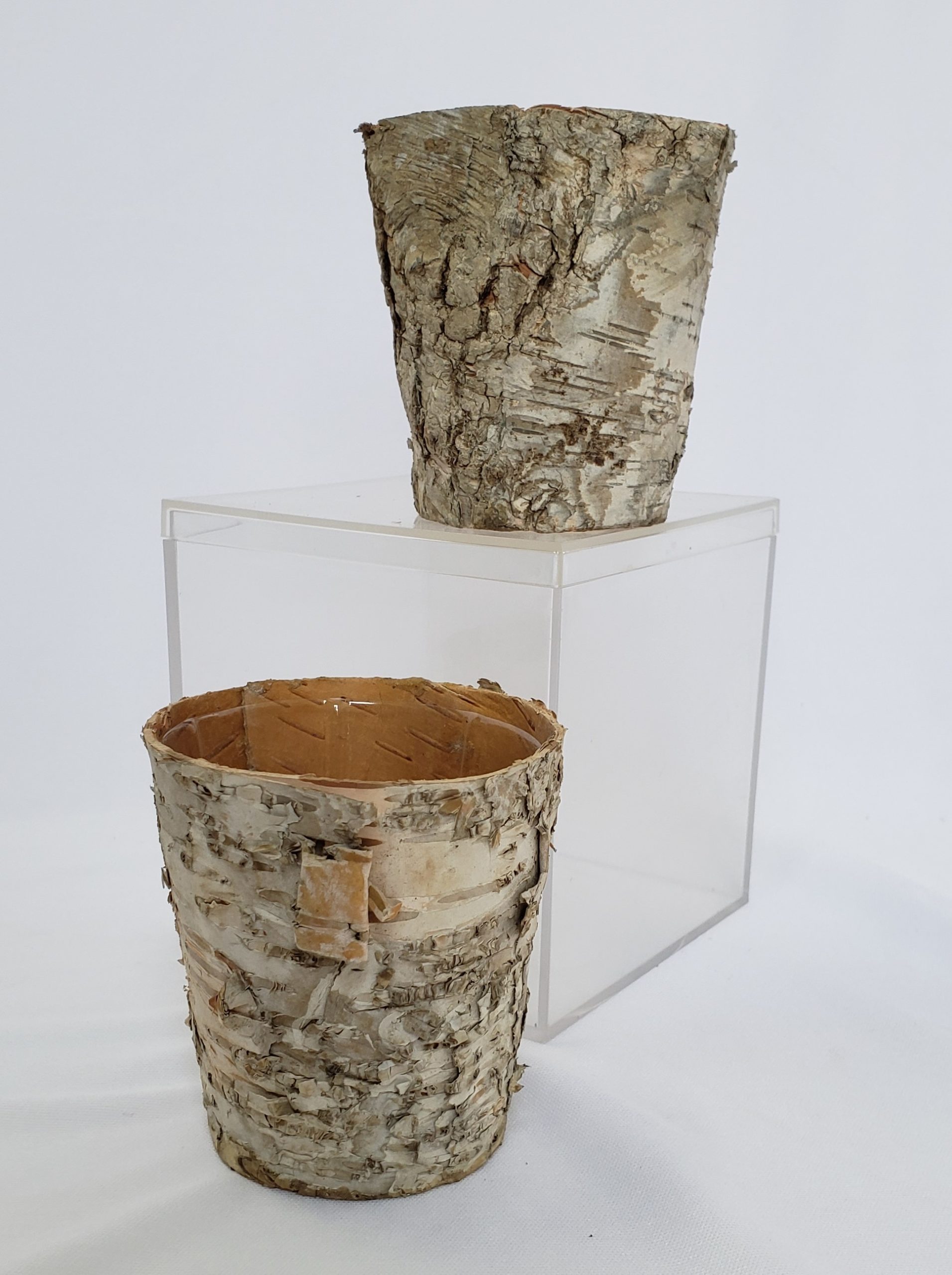 Birch Pots