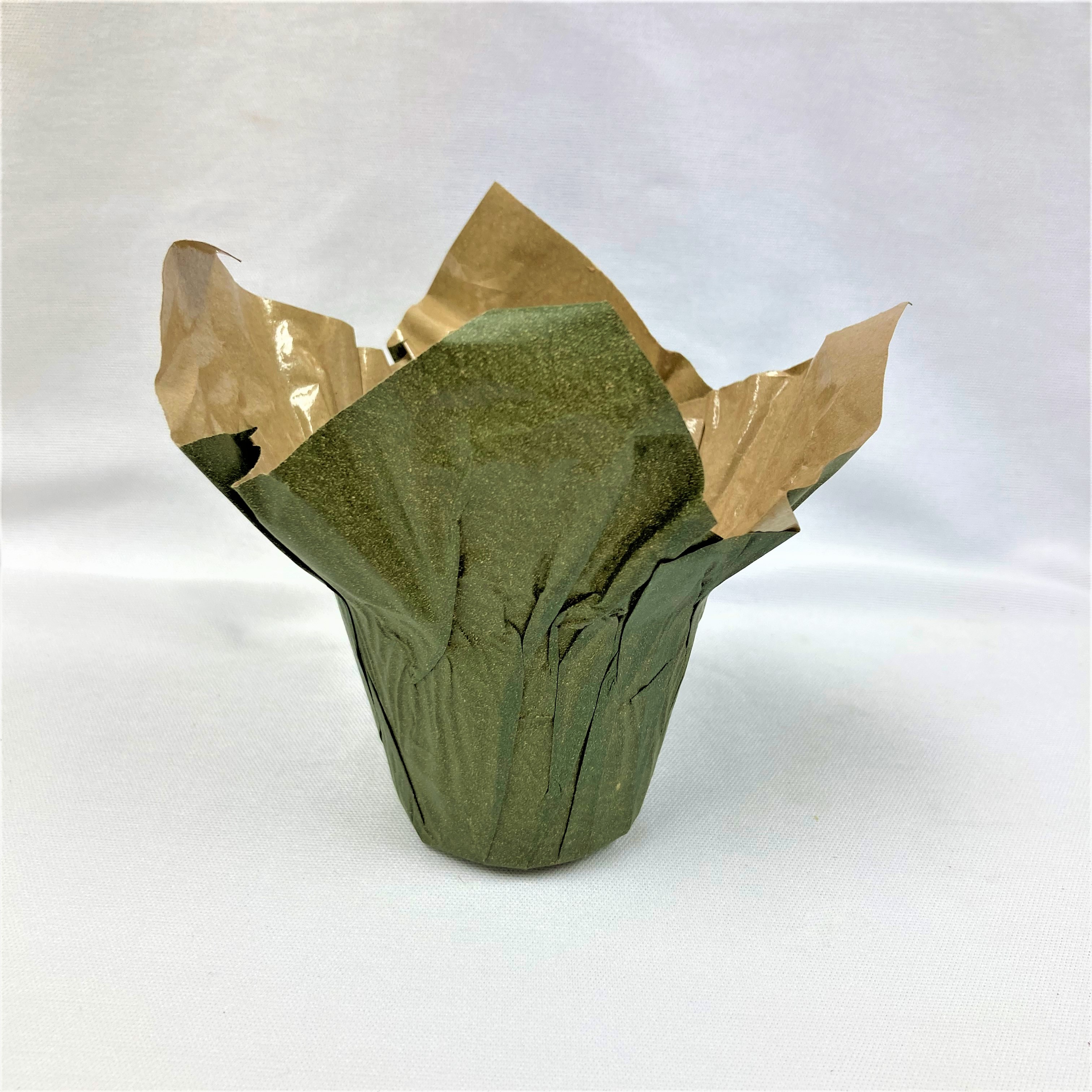 Kraft Mini Speed Cover